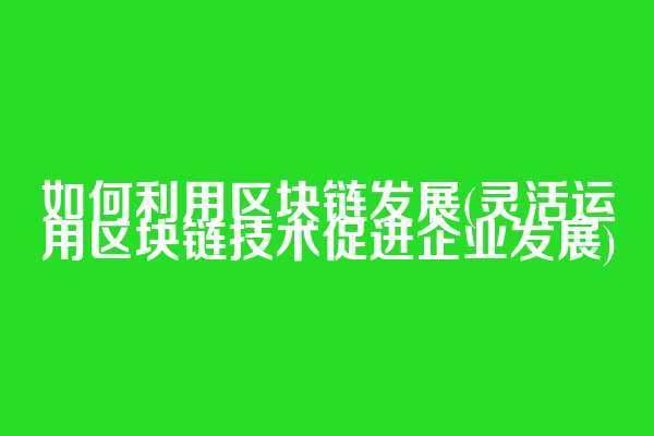 如何利用区块链发展(灵活运用区块链技术促进企业发展)