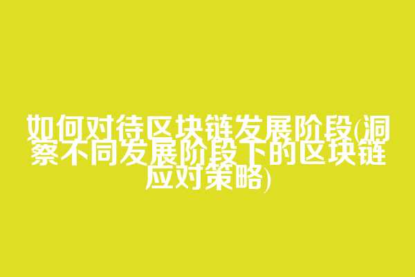如何对待区块链发展阶段(洞察不同发展阶段下的区块链应对策略)