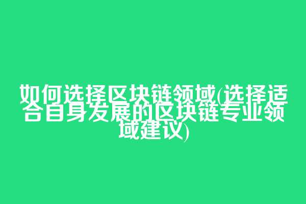 如何选择区块链领域(选择适合自身发展的区块链专业领域建议)
