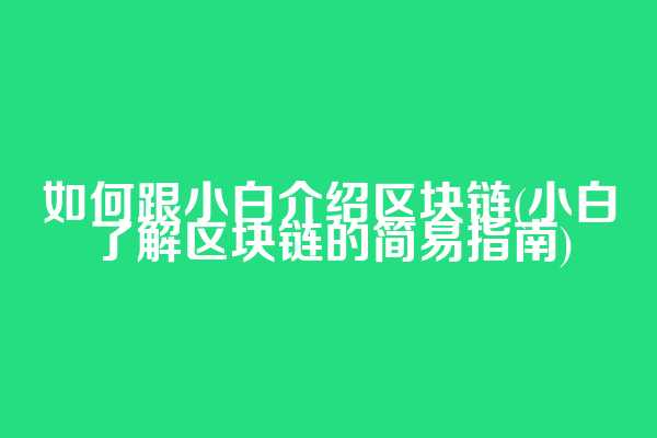 如何跟小白介绍区块链(小白了解区块链的简易指南)