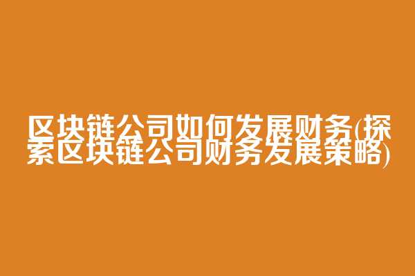 区块链公司如何发展财务(探索区块链公司财务发展策略)  第1张