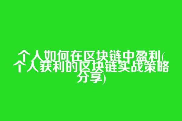 个人如何在区块链中盈利(个人获利的区块链实战策略分享)