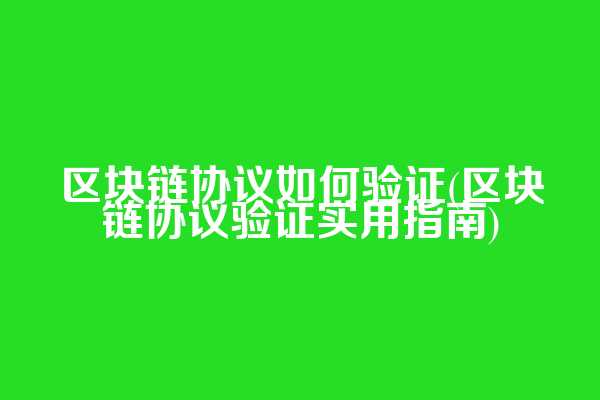 区块链协议如何验证(区块链协议验证实用指南)
