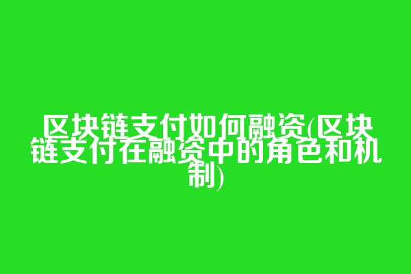 区块链支付如何融资(区块链支付在融资中的角色和机制)