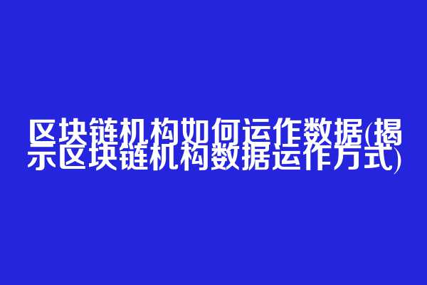区块链机构如何运作数据(揭示区块链机构数据运作方式)  第1张