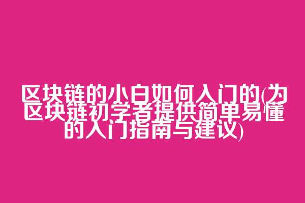 区块链的小白如何入门的(为区块链初学者提供简单易懂的入门指南与建议)