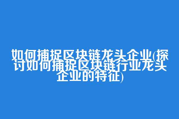 如何捕捉区块链龙头企业(探讨如何捕捉区块链行业龙头企业的特征)  第1张