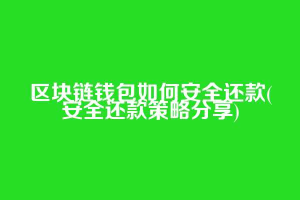 区块链钱包如何安全还款(安全还款策略分享)
